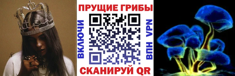 Галлюциногенные грибы Psilocybine cubensis купить сайты Карталы