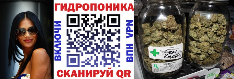 сколько стоит  Карталы  Канабис OG Kush 